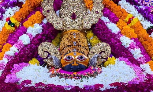 护肝的食物有哪些-【养肝护肝的食物】日常饮食怎么搭配更养肝? - -护肝的食物网