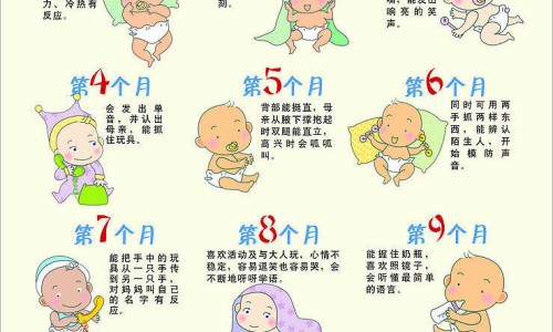 护肝的食物有哪些-【养肝护肝的食物】日常饮食怎么搭配更养肝? - -护肝的食物网
